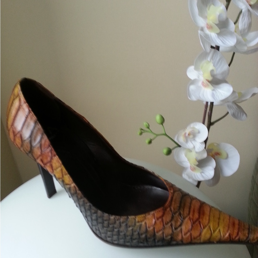 Italian Shoemakers Brown and Tan Heels with Classic Pointed Toe
